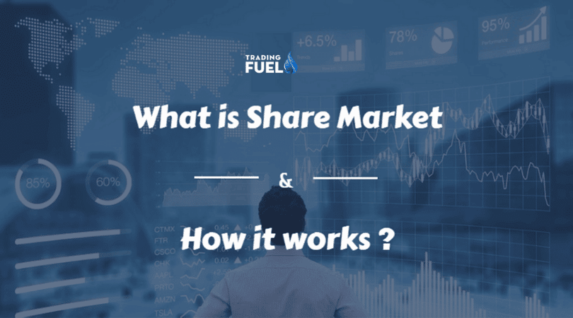 What is Share Market and How it works ?