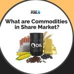 What are Commodities