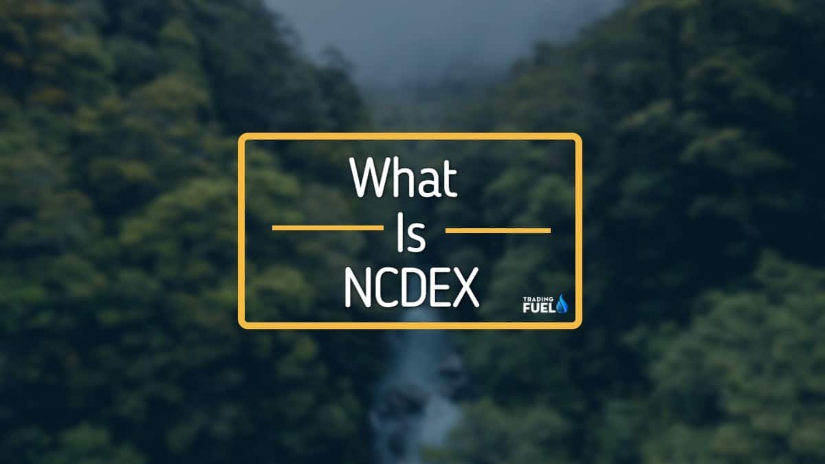 What is NCDEX in India?