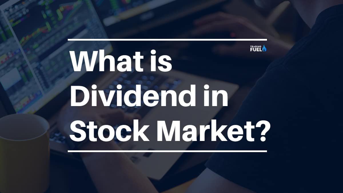 What is Dividend in Stock Market? (The Beginner's Guide)