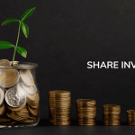 About Share Investment
