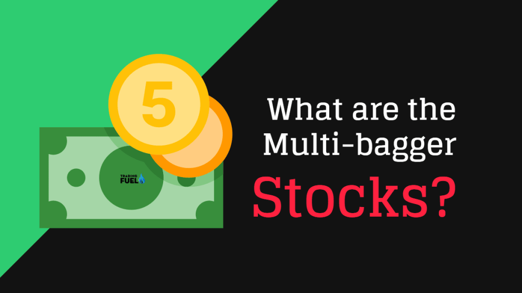 What are the Multi-bagger Stocks