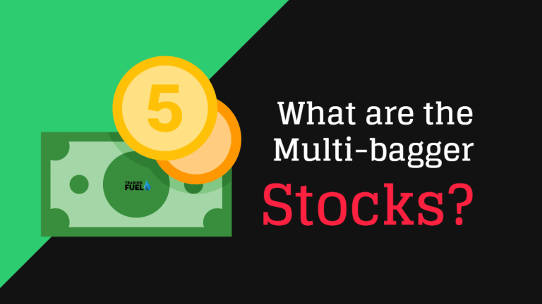 What Are The Multi-bagger Stocks? || Trading Fuel Team