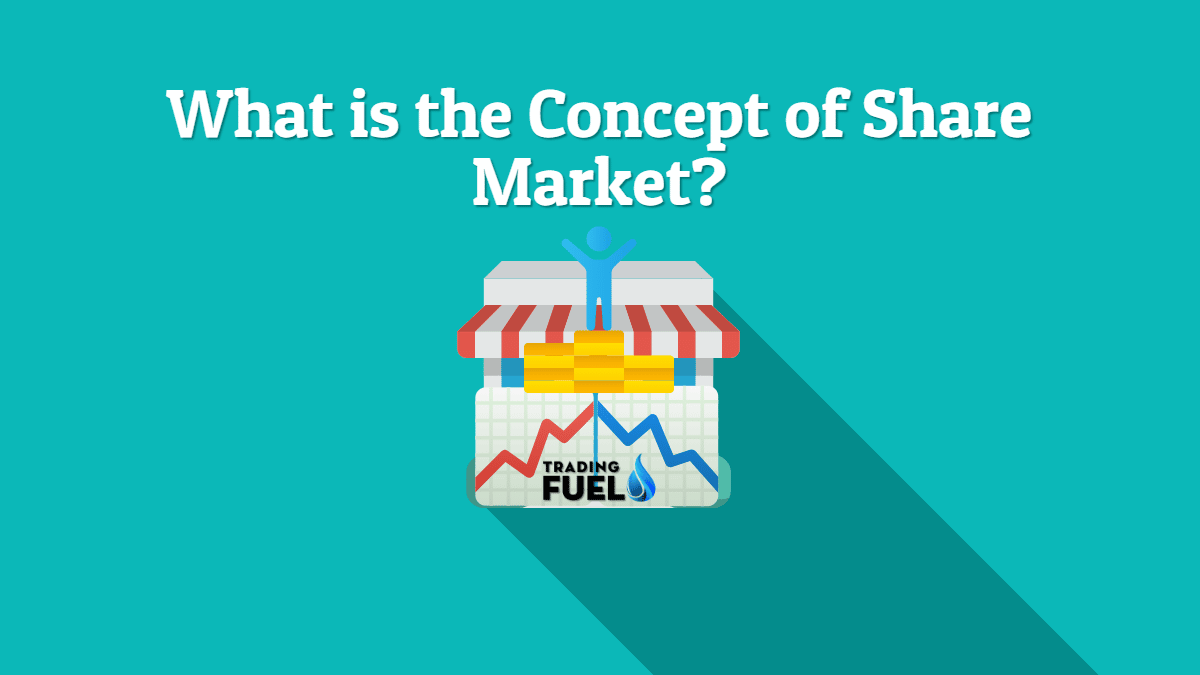 What is the Concept of Share Market?