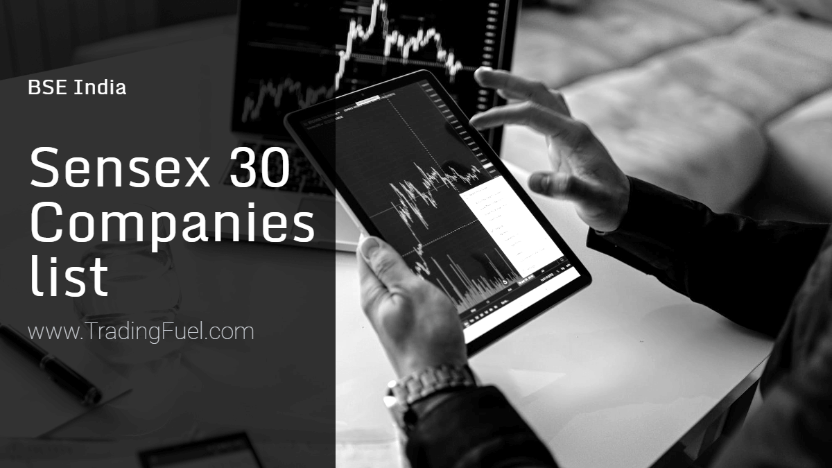 Sensex 30 Companies list