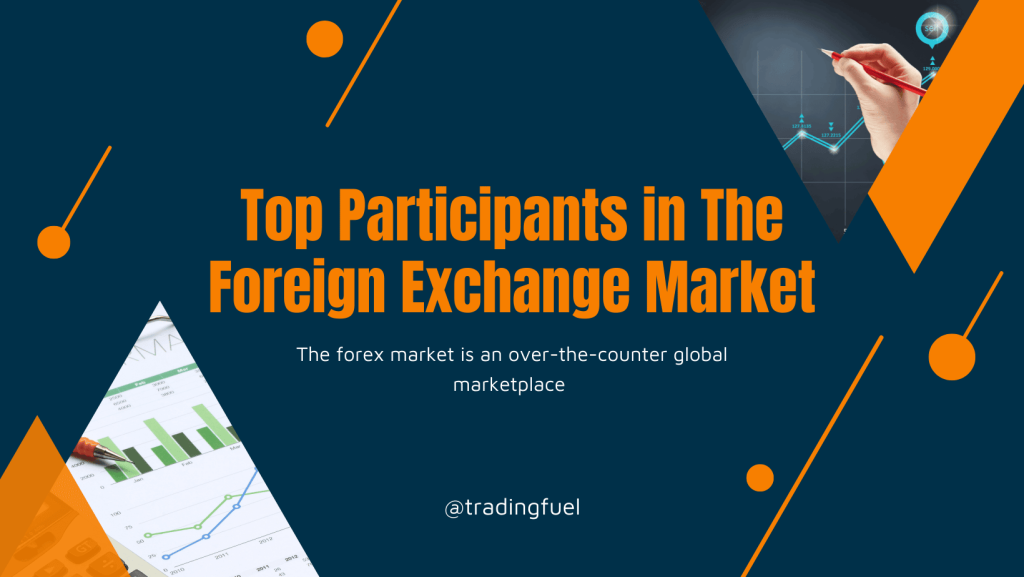 Top Participants in The Foreign Exchange Market (3)
