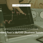 Standard Poor's 500 (Business Summary) (1)