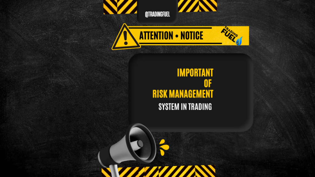 Importance of Risk Management System in Trading