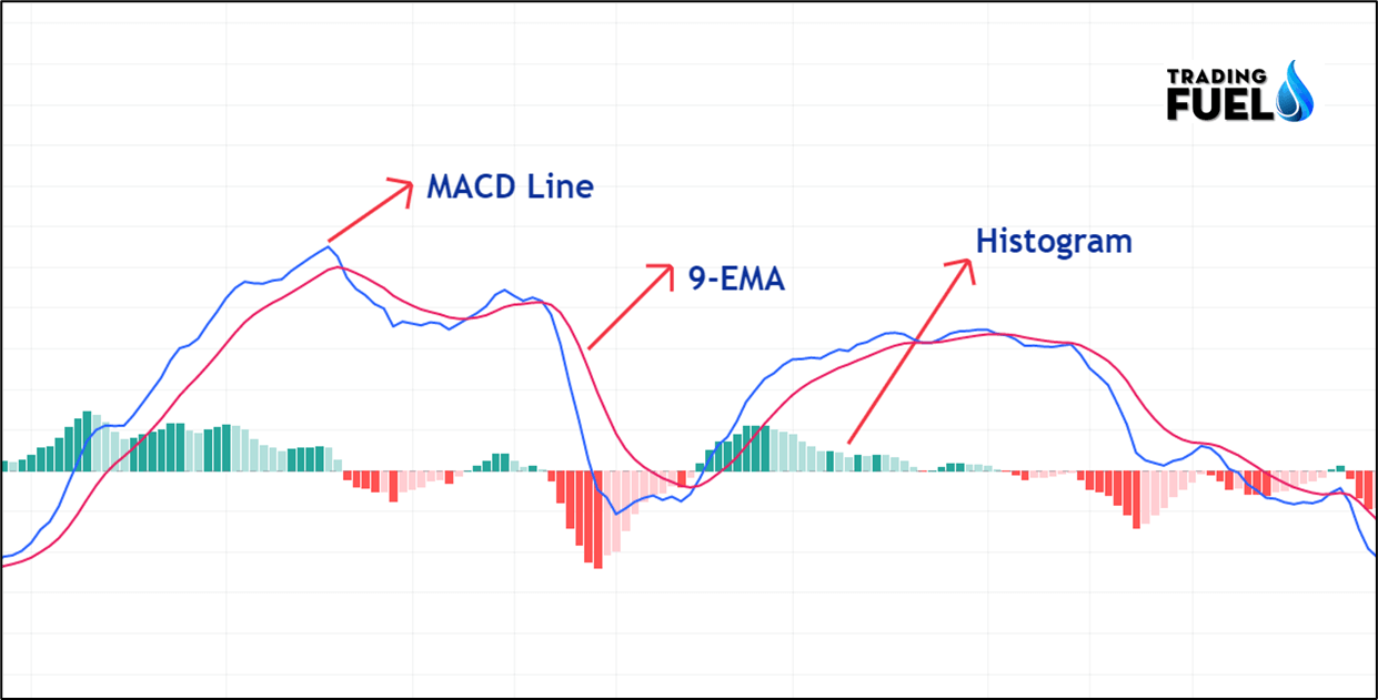 Components of MACD Indicator